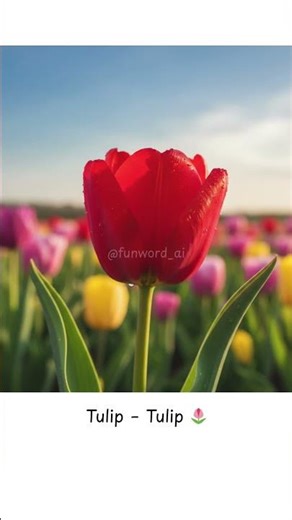 🌸 English for Beginners: Flower Vocabulary #shorts