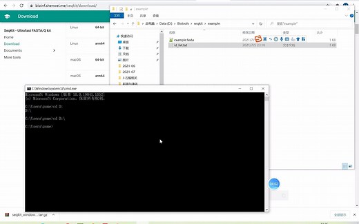 生物信息学入门~windows系统使用seqkit工具根据序列id提取自己的目标序列