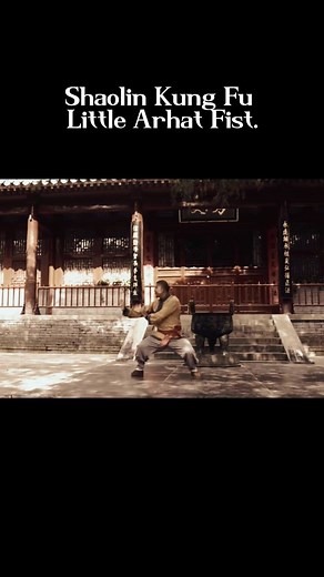 Shaolin Kung Fu Little Arhat Fist. #gongfu #zen #martialarts #wushu #kungfu #shaolin | Moon Zen
