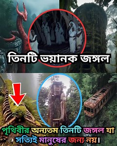 পৃথিবীর বিস্ময়কর তিনটি অরণ্যের অজানা সত্য। | JR TV