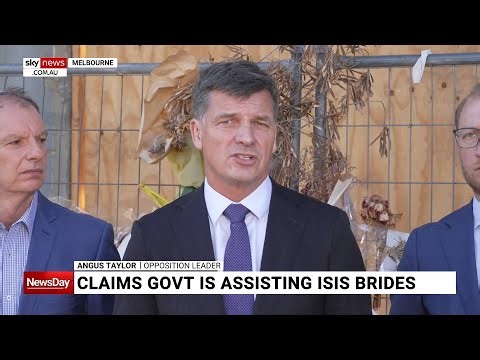 ‘Haven't answered basic questions’: Angus Taylor blasts Labor over ISIS bride crisis