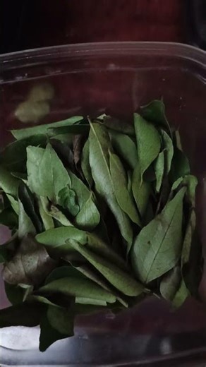 🍋 lemon pickle my on recipe try good taste #food #cooking