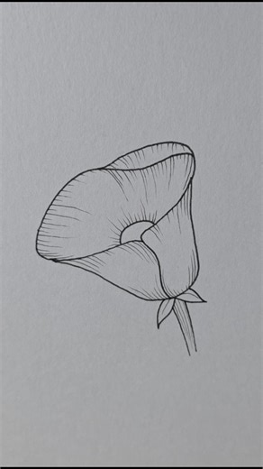 mini drawing | Poppy flower drawing #minidrawing #poppy #illustration #howtodraw #easysketch | Instagram