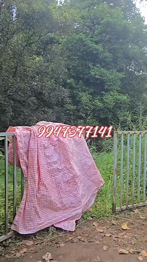 🏡 20 cent House plote മൂവാറ്റുപുഴ ടൗണിനടുത്ത് ☎️ 9847311879 ☎️9947377141 | Royal Properties Muvattupuzha