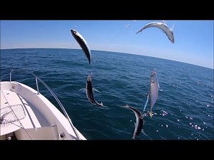 MAQUEREAUX & Gascons au JIG