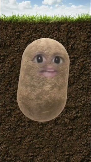 Nous sommes les Patates ( Clip officiel)