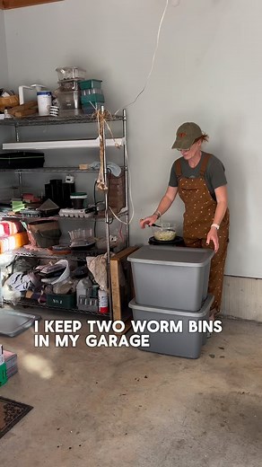 13K views · 28 reactions | Comment WORM for a short video tutorial on how to make a worm bin for under $12. Remember, you do still have to purchase worms or get them from someone who has extra. And they need to be a specific type of worm. Eisenia Fetida #wormbin #vermicast #vermicompost #worms #feedthesoil | The Ever Hopeful Gardener | Facebook