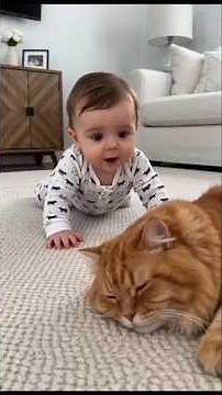 Funny Babies and Cats Moments That Will Make Your Day! 🐱👶 | Cute Compilation 2026