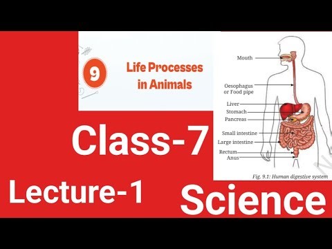 ||Class-7||Life Processes in Animals||Science||Lecture-1