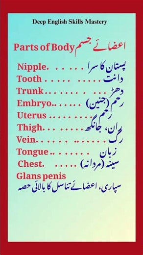 Human Body Parts Names in Urdu and English