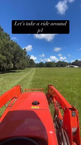 3.9K views · 184 reactions | Saturdays! | ColdSpring Mares Inc | Facebook