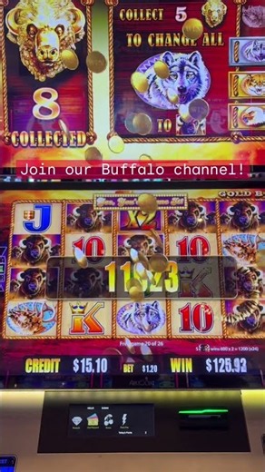 ❤️HUGE WIN!!❤️ Buffalo GOLD Slots... SO MANY BUFFALO!