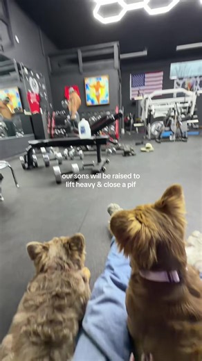 they love watching alex workout 😭😭 | workout