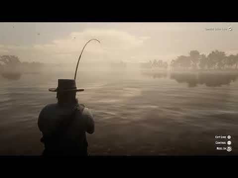 How to Catch Legendary Fish: Bluegill - Red Dead Redemption 2