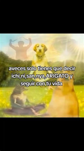 Arigato trend tutorial: cómo decir “ichi, ni, san, nya, arigato”