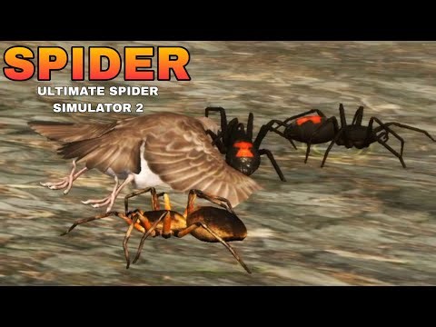 Ultimate Spider Simulator 2 🔴[LIVE] #spider #ultimatespidersimulator2