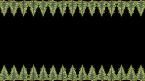 Glow Christmas Tree Loop Animation Stock Footage Video (100% Royalty-free) 1060388144 | Shutterstock