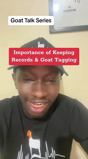 Importance of Keeping Records in your goat farm & Goat Tagging #goatfarmkenya #goats #goat_farming_start #goatfarmingkenya #farmtok #farmgoats #goats🐐 #famgoals #goatfarmers