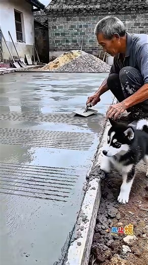 Grandpa's Dog Made a HUGE Mess! 😂 || #shorts