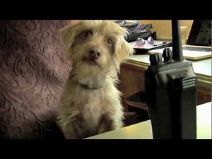 Subaru Commercial - Behind the Scenes