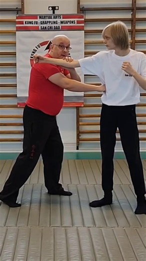 Stop Retracting Strikes! Control the Limb Instead. #selfdefense #martialarts