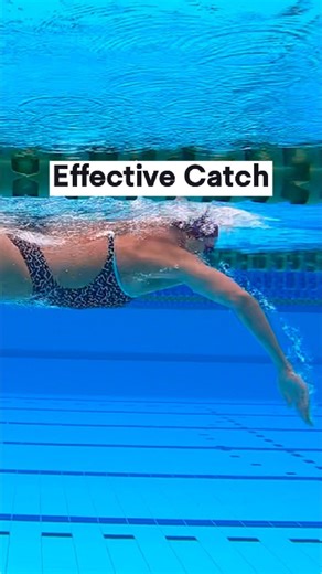 22K views · 987 reactions | Getting a good catch and pull won’t click on day one—it takes time. But it’s the 20% of your stroke that gives 80% of the payoff. Once the basics are in place, this is where you want to invest your time. Work with me to improve your swimming technique (for faster times). Link in bio #swimfaster #triathlete #swimmingcoach #swimmersproblems #catch #catchandpull | Effortless Swimming | Facebook