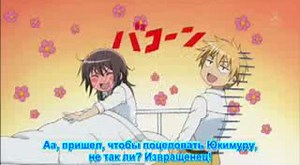 Kaichou wa Maid sama 14 саб