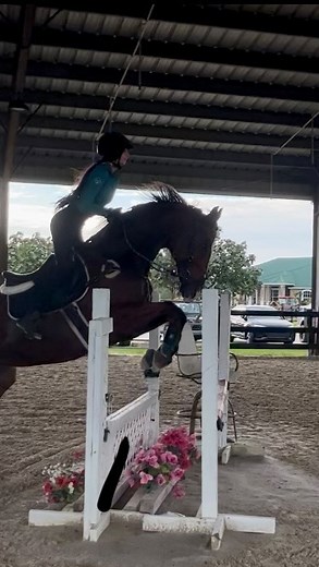HyperCookiie | There’s nothing like working with these majestic creatures 🫶🏼!❤️‍🔥 #horse #equestrian #eq #horseriding #whitehorse #gallop #galloping... | Instagram