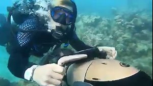 Excited to cruise through the ocean on a DPV? Matt is ready to go whenever you are! | Rainbow Reef Dive Center