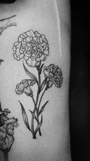 Tattoo Blackwork Designs with Carnation Flowers