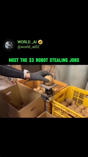 WORLD _AI | A Japanese farmer named Mr. Shiozawa won the Saitama New Business Award after building a fully working potato sorting machine at home for... | Instagram