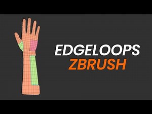 Geometry - Edge Loop /Edgeloop - ZBrush