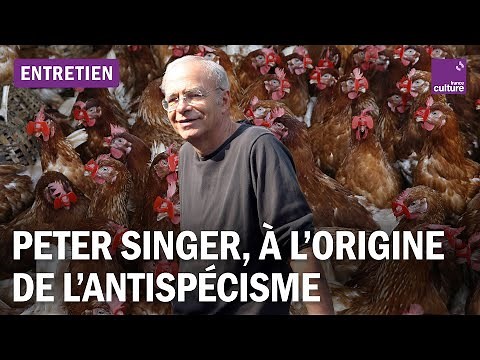 Peter Singer : "Dans toute l'histoire de l'humanité, les animaux ont été exploités comme des objets"