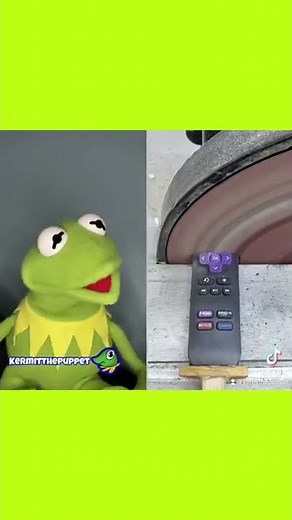 Kermit The Frog Loses His Netflix Remote Tiktok ￼