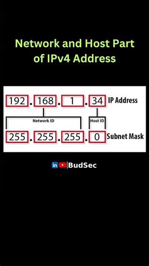 Network 006 - Network ID and Host ID in IPv4 Address