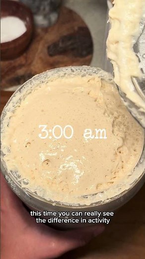 How do you know when your sourdough starter has peaked? More info in description* #sourdoughstarter