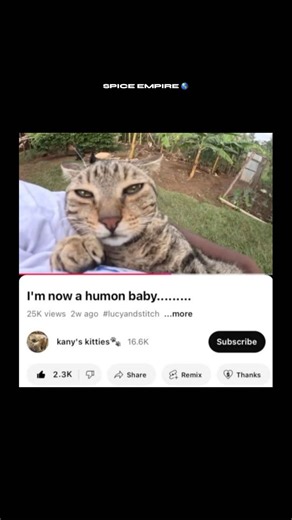 𝗦𝗣𝗜𝗖𝗘 𝗔𝗡𝗚𝗘𝗟 5̳ | 100+ Memes On 10+ Pages 𝟮𝟰/𝟳🔸 on Instagram: "Memes actually trace back to a 1976 idea about how culture spreads—fast-forward to today, and they shape our online identity in seconds. From viral tweets to clever textposts, these micro-moments fuel search trends, spark conversations, and keep our feeds breathing with fresh, shareable energy. #memes #tweets #textposts"