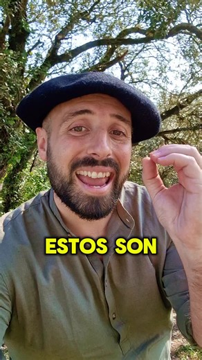 6 Nombres de Chicas Más Bonitos en Euskera