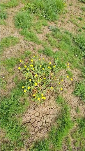 The most colorful place on earth right now #travel #beautiful