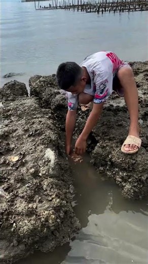 Village Kids Catching Fish for Fun