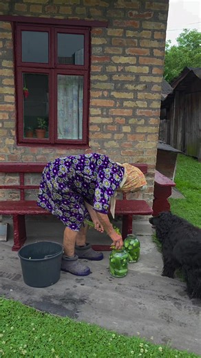 Forgotten Village на TikTok