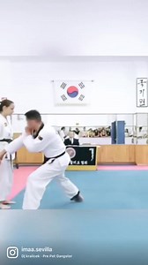 4th Dan Test Exam (Sin Moo Hapkido) Genuine Hapkido/Quality/Effectiveness - World Hapkido Sin Moo Kwan Association 세계합기도신무관협회 Asociación Española de Sin Moo Hapkido 스페인 신무합기도협회 | Rafael Balbastre