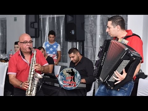 Ziva Dinulovic - Instrumentala Sarbeasca - Live 2016 - Nunta Ioana & Adi - La Patulele