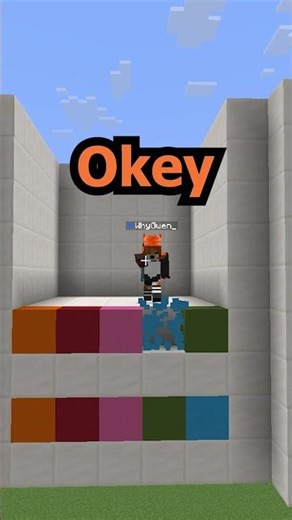 SUPER RETO ADIVINAR EL COLOR #challenge #puzzle #minecraft ‪@LowZxoe‬ ‪@Soysedax‬