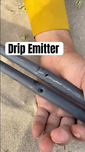 Drip Line Installation: The Easy Way #drip #dripirrigation #irrigation #shorts #youtubeshorts u