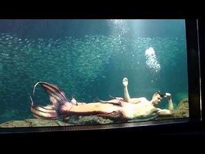 New Aquarium Mermaid Tail Design by The Mertailor Merman Eric