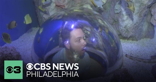 Kaleidoscope Cove gives Adventure Aquarium visitors a special look "under the sea"