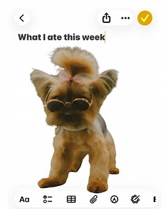 Our clients ate and left no crumbs with their new transformation looks! So, what do you think, HG family? Are we loving these adorable Fall groom fluff ’n’ cuts? Jump in the poll below and let’s see those votes!🗳️ #OOTD #whatiatethisweek #doggroomer #catgroomer #hollywoodmobilegrooming #HollywoodPetCenter #burbank #losangelesdogs #sanluisobispo | Go Hollywood Grooming