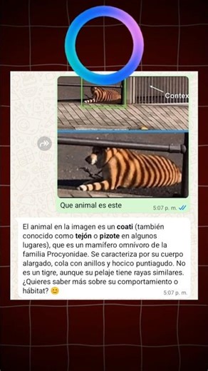 Seeing how artificial intelligences describe this image 👻