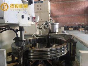 [Hot Item] Internal Gear, Internal Spur Gear, OEM Customized Internal Gear Ring